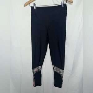 Evolution and Creation Size M